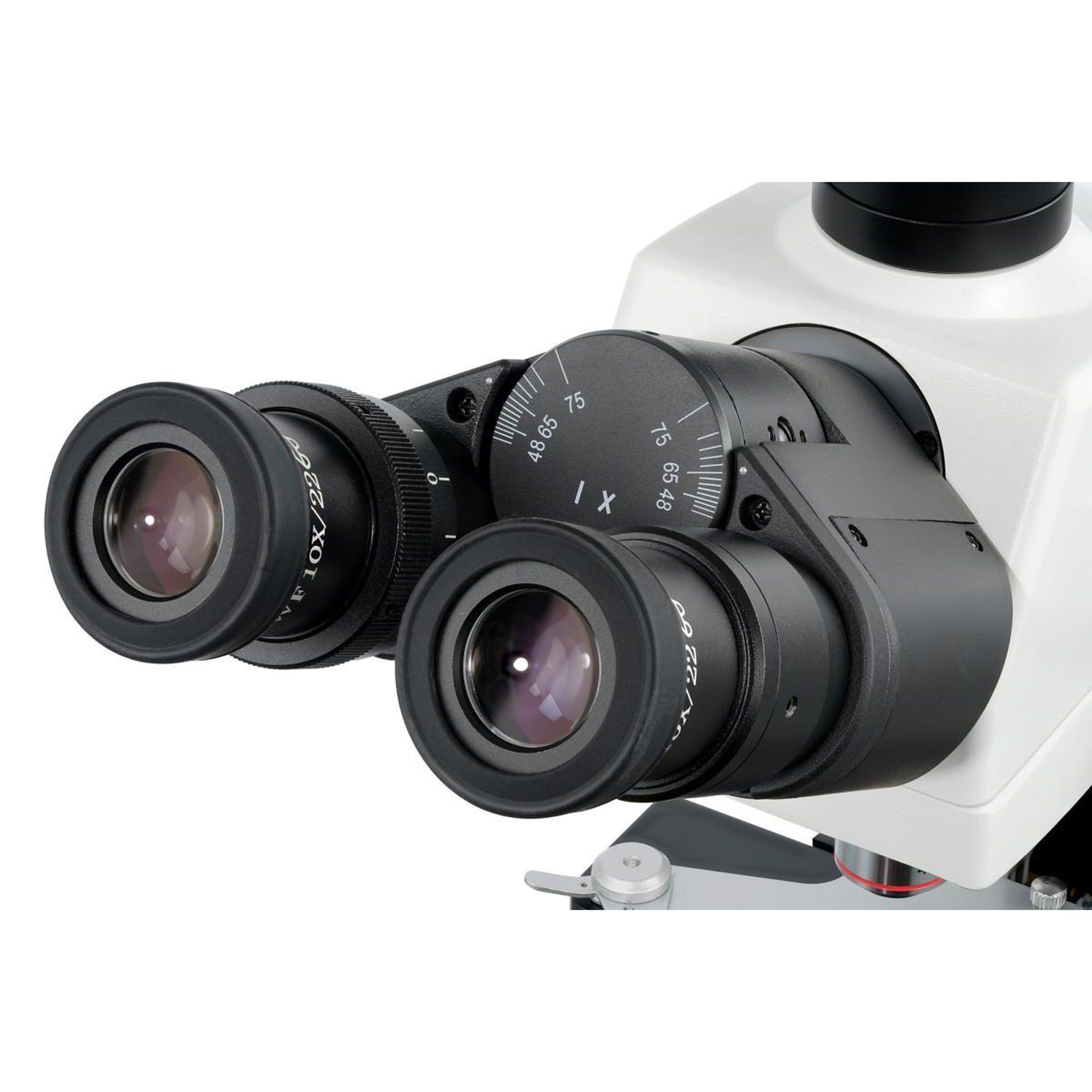 Voir la diapositive 5 : LEVENHUK Microscope trinoculaire numérique  med d40t