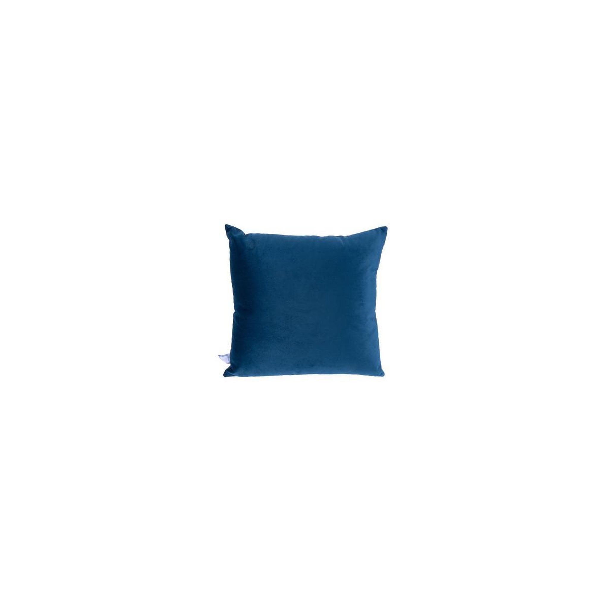 Voir la diapositive 4 : Paris Prix Lot de 2 coussins déco  prisma ii  30x50cm bleu