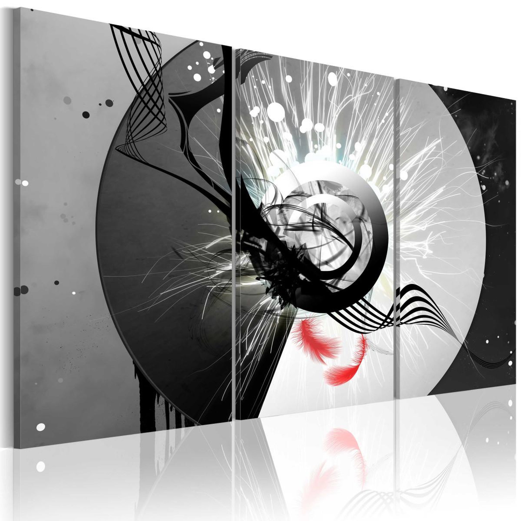 Voir la diapositive 1 : Paris Prix Tableau Imprimé  Cercle Métallique & Plumes Rouges