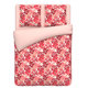 Rose corail