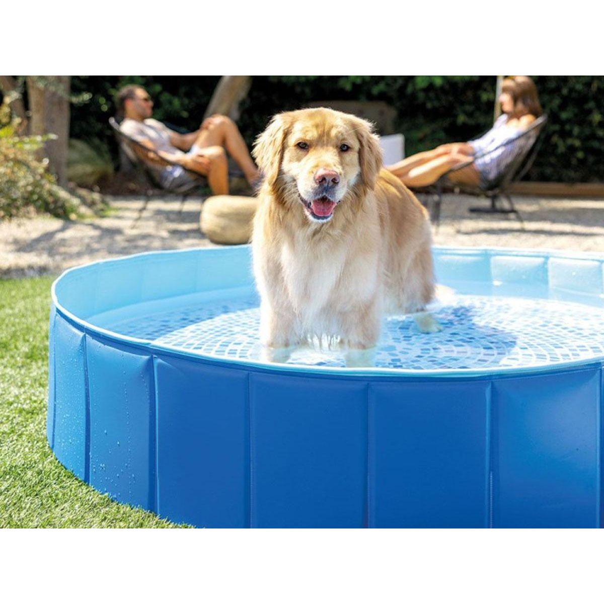 INTEX Piscine ronde pliable pour animaux - Intex