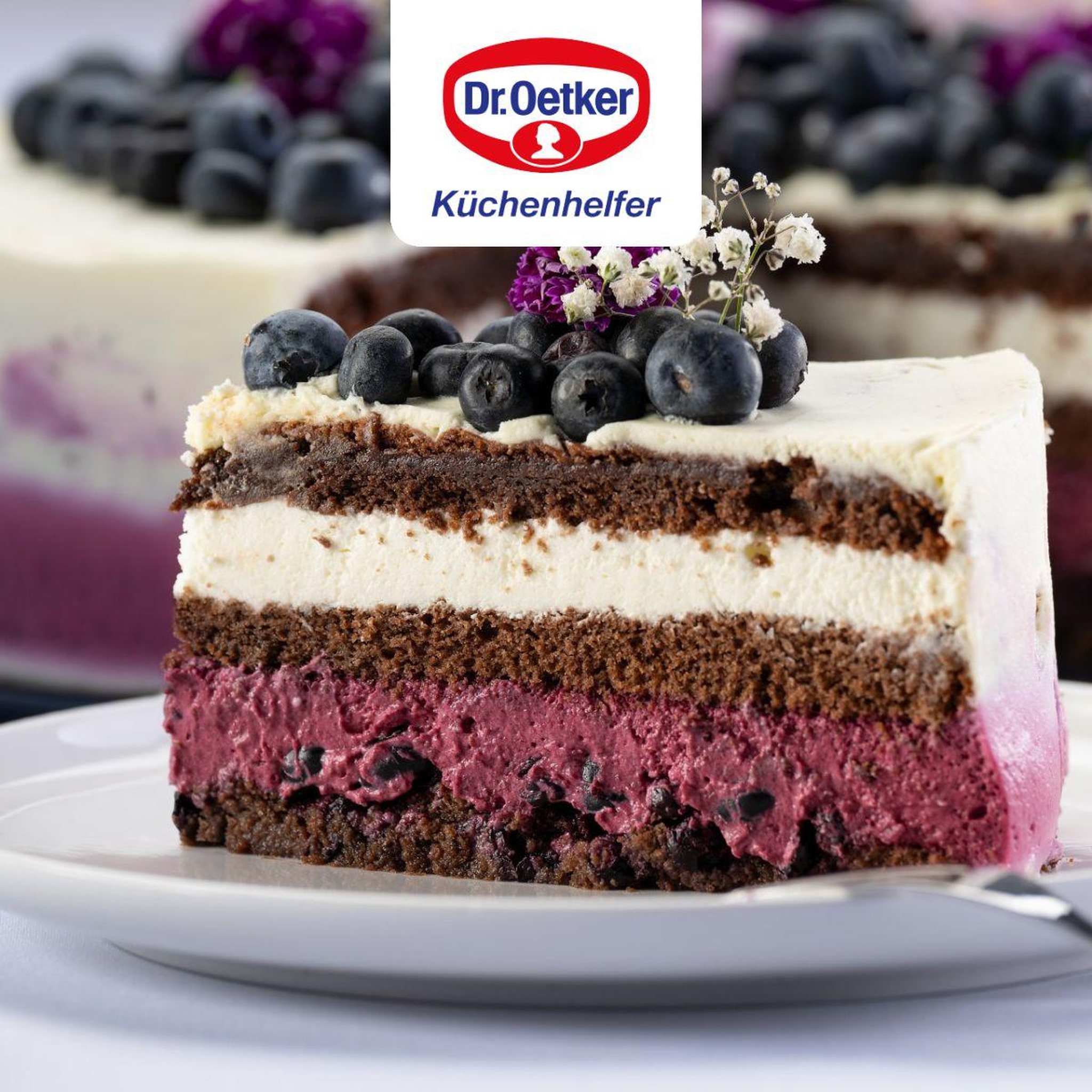 Voir la diapositive 5 : DR.OETKER Lot de 2 moules à gâteaux 28/28 cm en acier dr oetker back-liebe