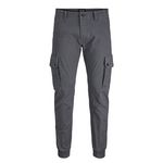 Jack & Jones Pantalon Cargo  Homme Jack & Jones Warner 12167596 - W30. Coloris disponibles : Gris
