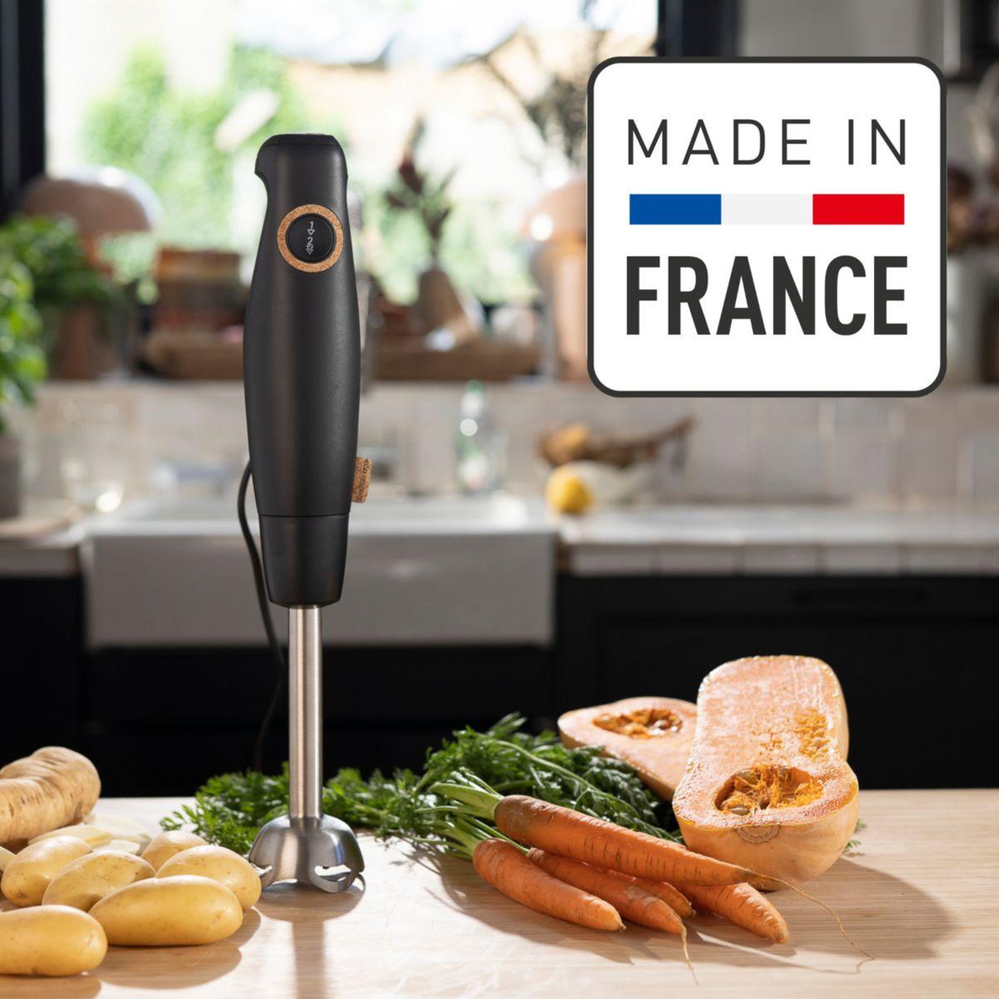 Voir la diapositive 2 : MOULINEX Mixeur DD46E810 ECO RESPECT