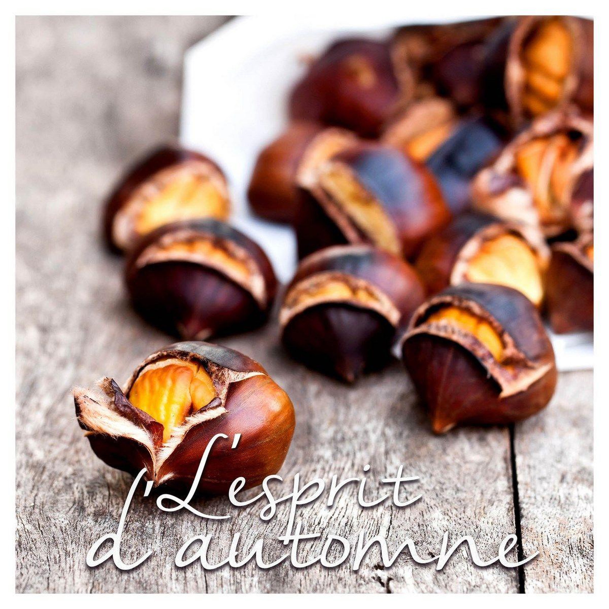 HOMEA Lot de 20 serviettes en papier  marrons  33x33cm naturel
