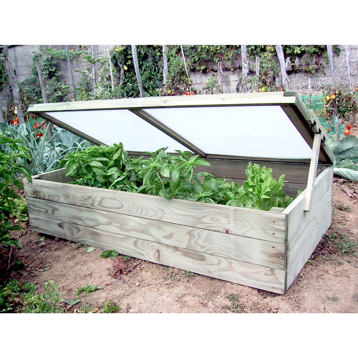 GARDENSTAR Serre châssis - Bois - 100x60x25/40cm