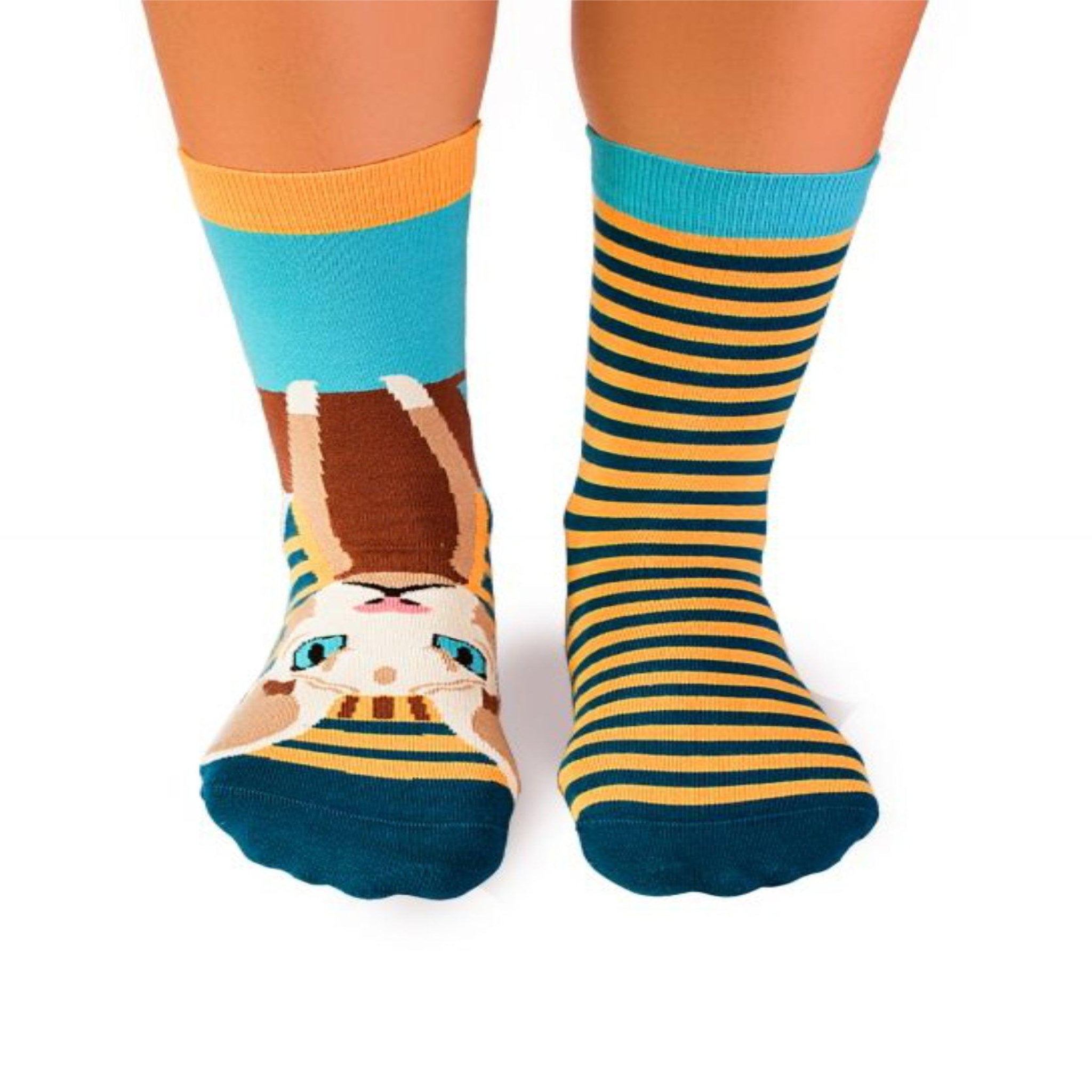 PIRIN HILL Chaussettes arty sphynx le chat. Coloris disponibles : Multicolore