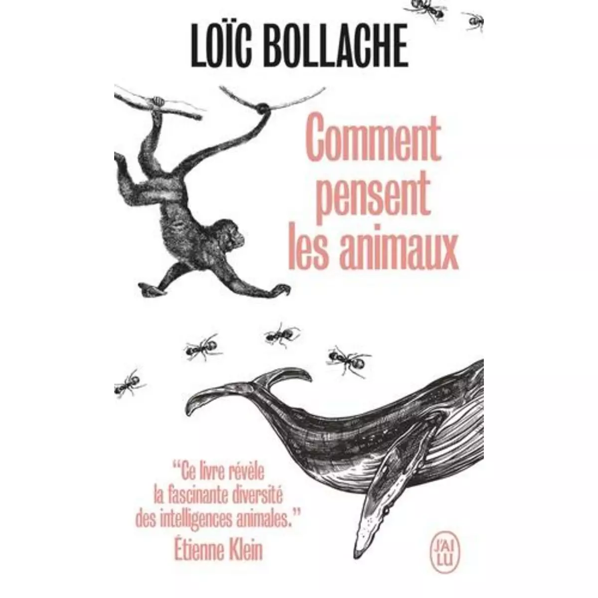  COMMENT PENSENT LES ANIMAUX, Bollache Loïc