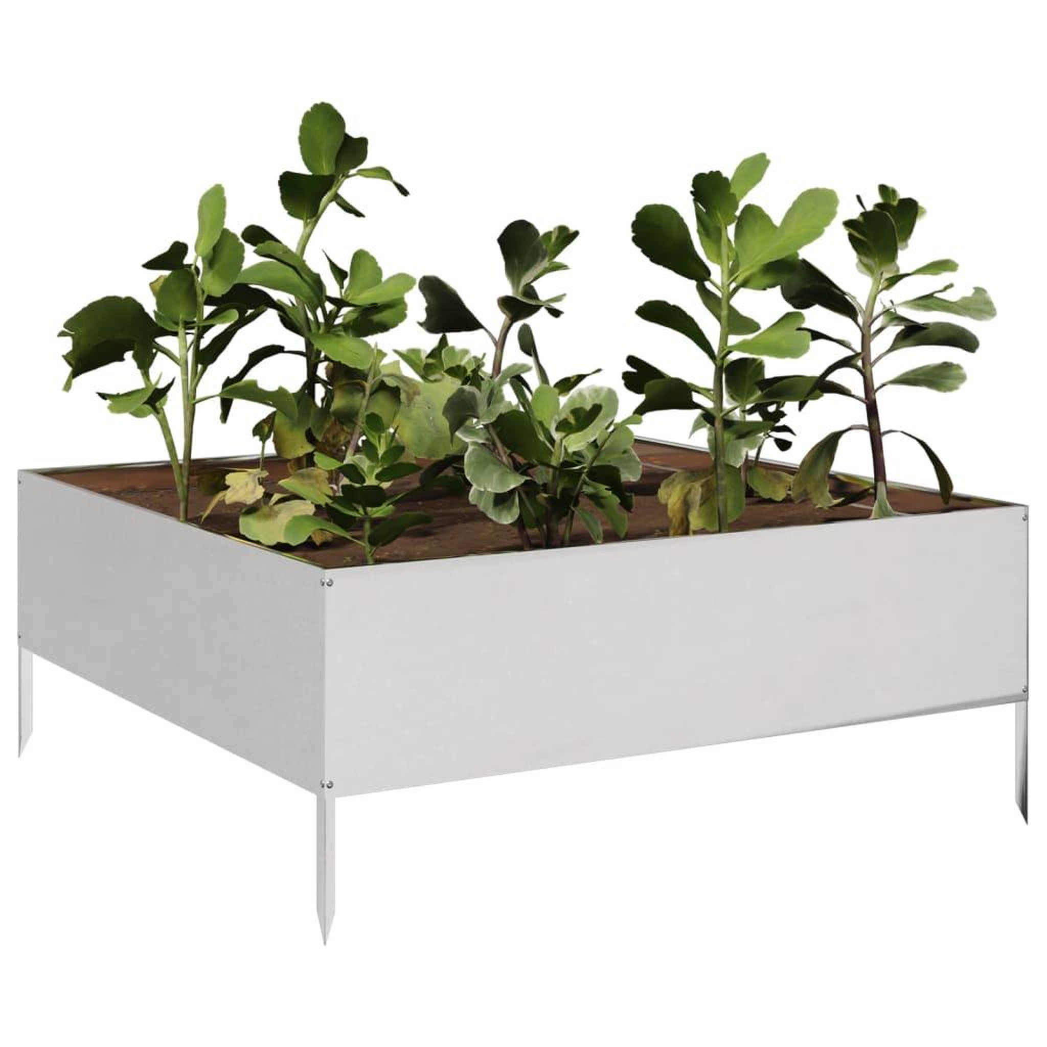 Voir la diapositive 3 : VIDAXL Lit sureleve de jardin 100x100x25 cm acier inoxydable