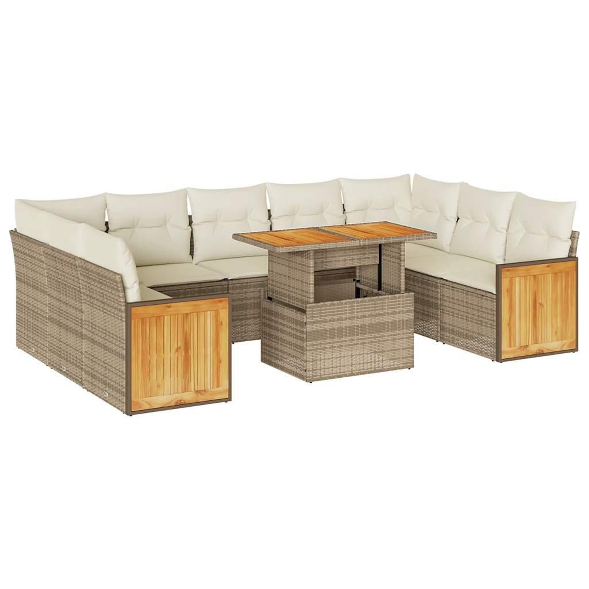 Voir la diapositive 2 : VIDAXL Salon de jardin avec coussins 10pcs beige resine tressee acacia