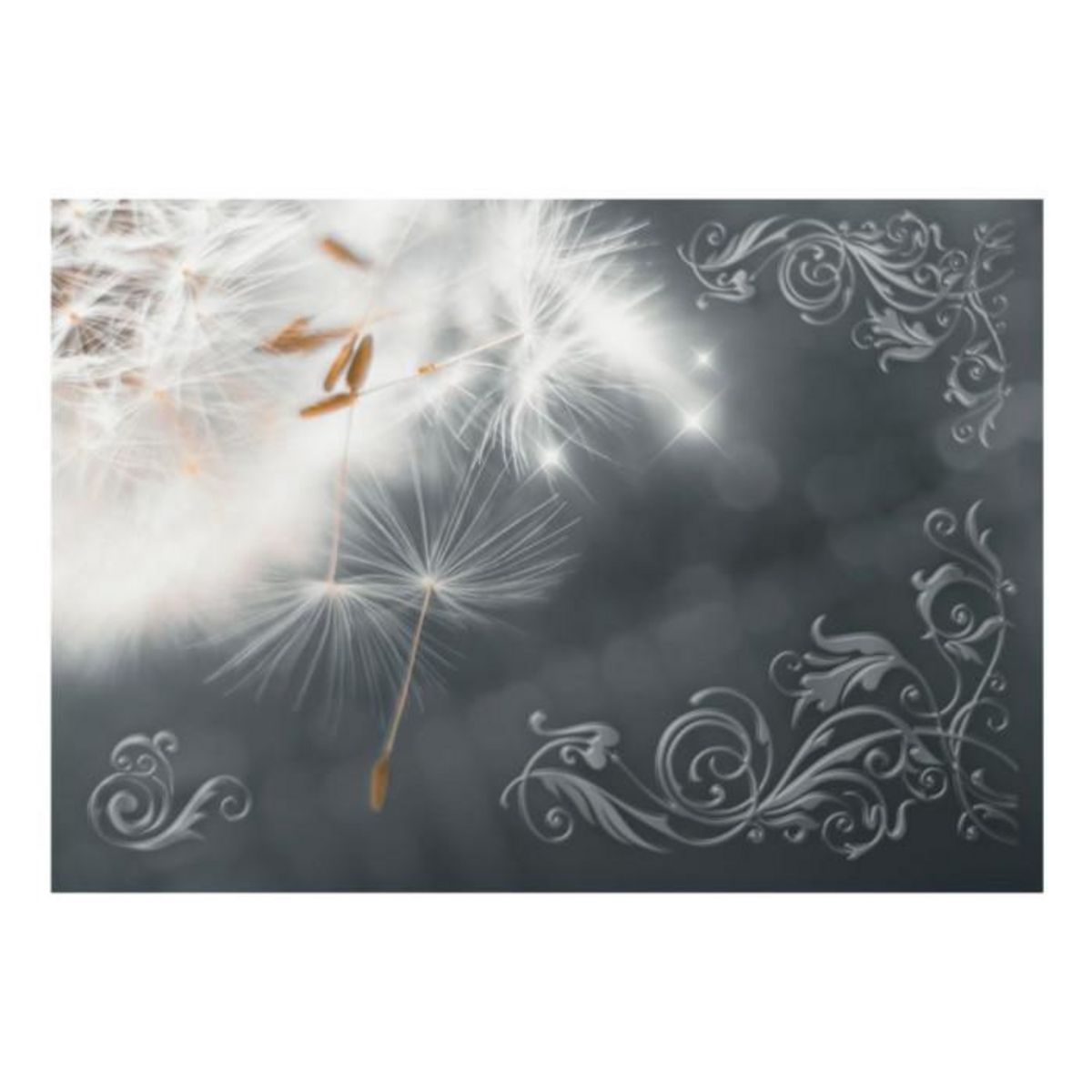 Paris Prix Papier Peint  Magic of Gentleness