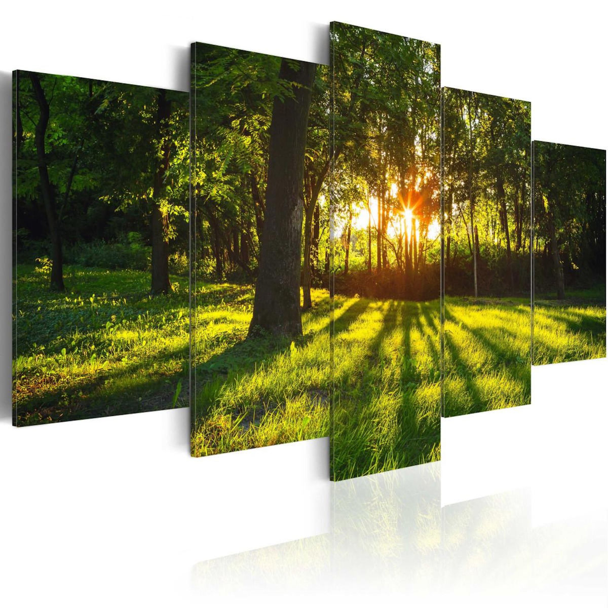 Paris Prix Tableau Imprimé  The Forest Reflection