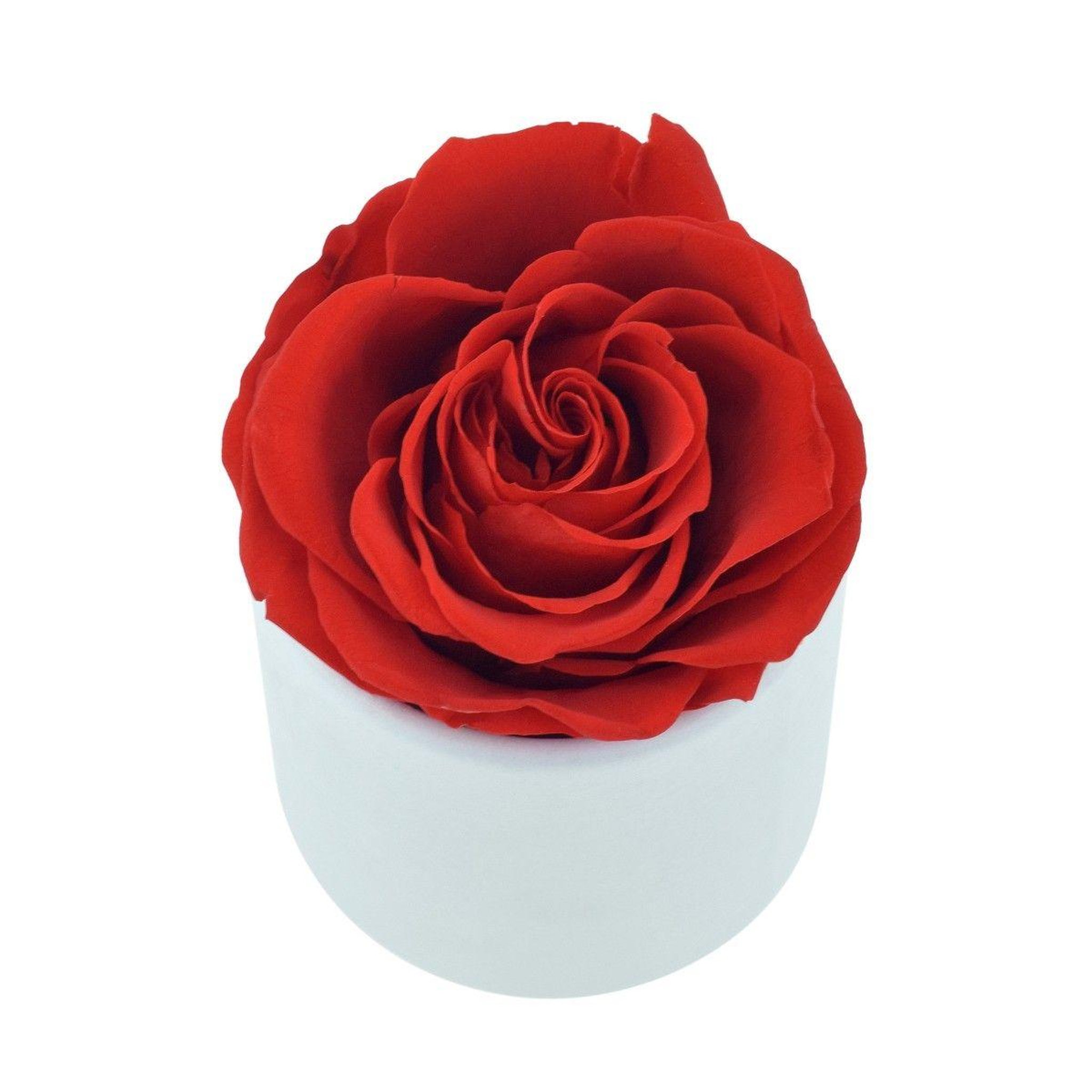 Voir la diapositive 3 : SC CRYSTAL Coffret rose éternelle - stabilisée