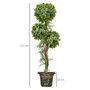 Voir la diapositive 3 : HOMCOM Buis artificiel topiaire artificielle 3 boules H. 115 cm pot style antique inclus