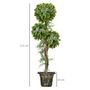 Voir la diapositive 3 : HOMCOM Buis artificiel topiaire artificielle 3 boules H. 115 cm pot style antique inclus