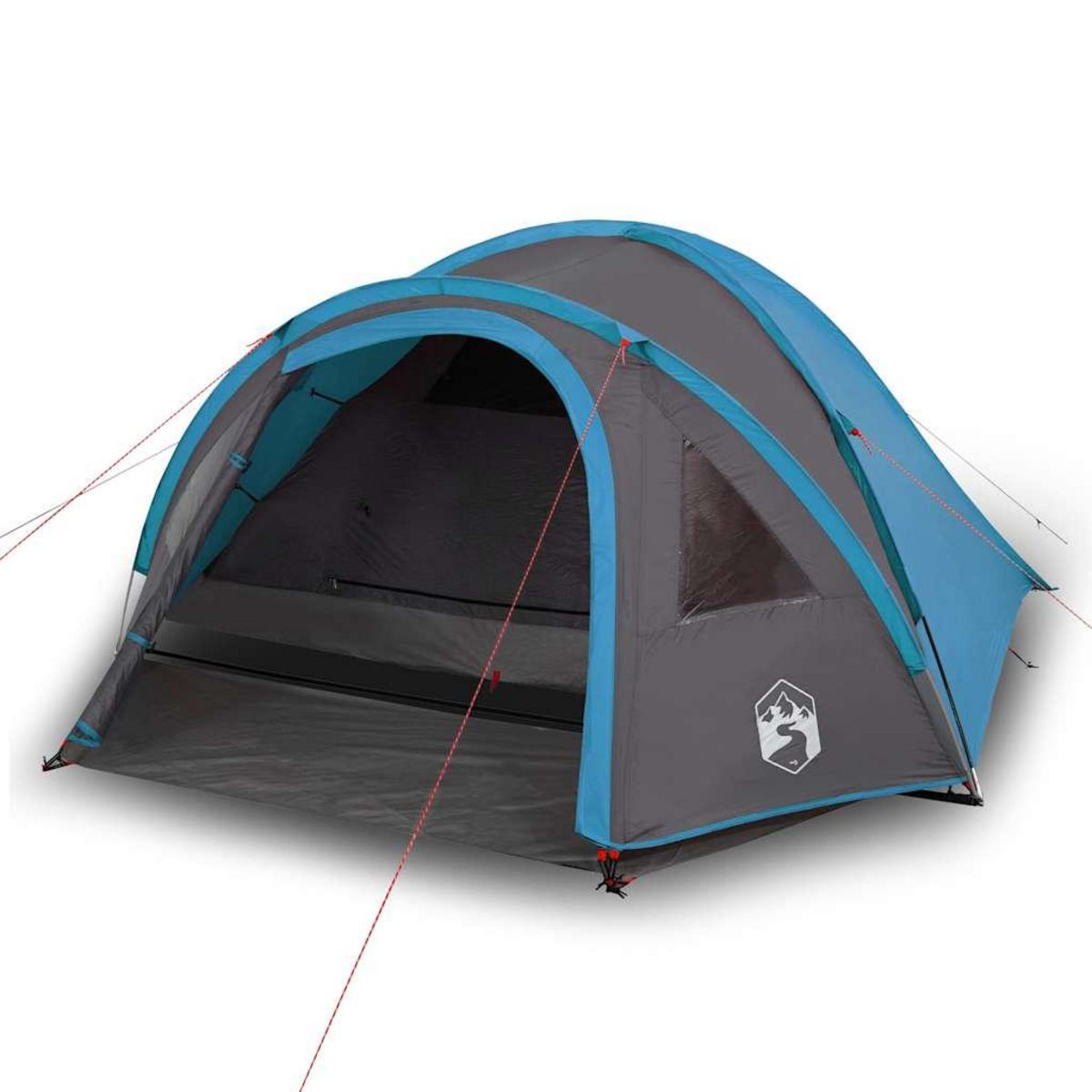 VIDAXL Tente de camping a dome 4 personnes bleu impermeable