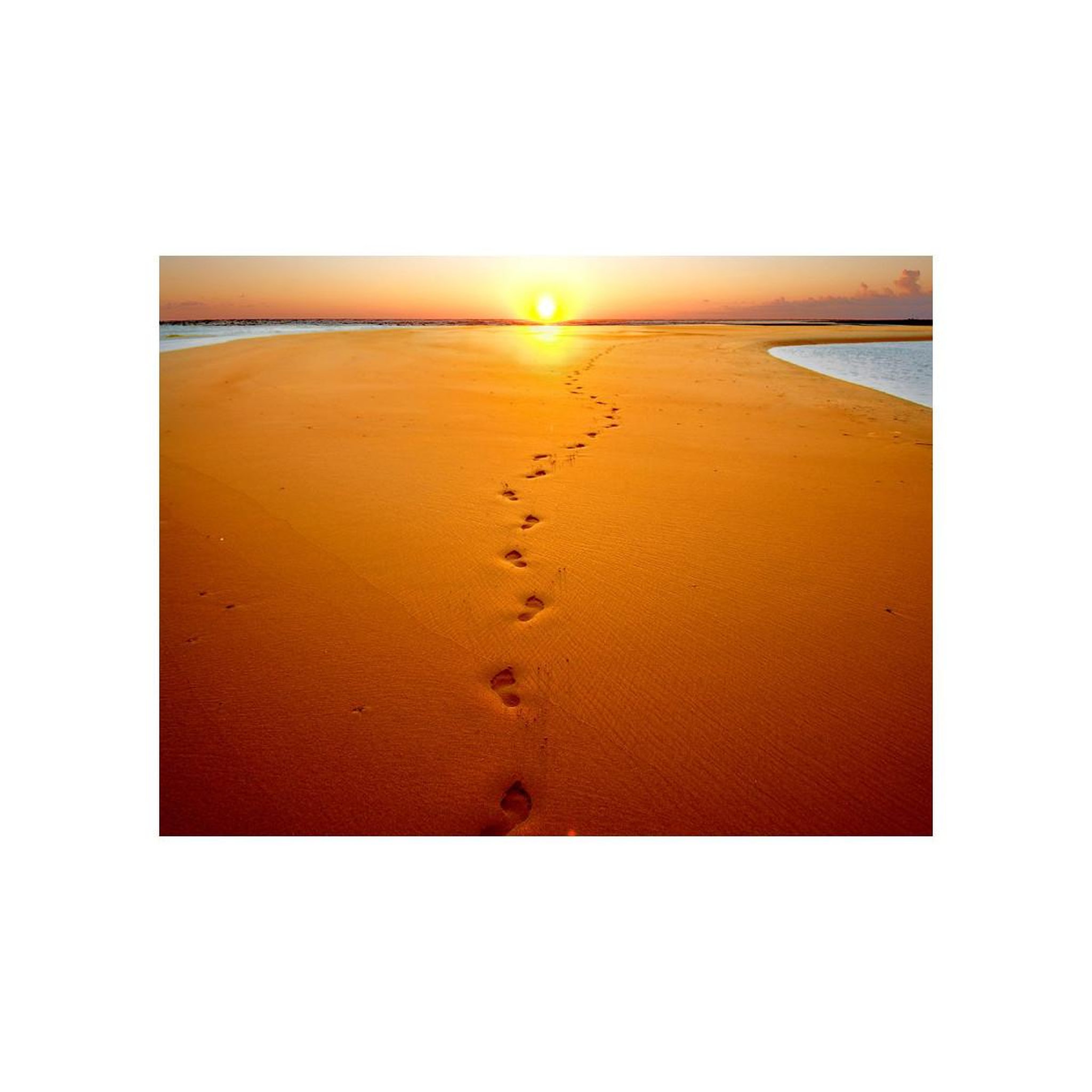 Voir la diapositive 2 : Paris Prix Papier peint  traces de pas sur le sable