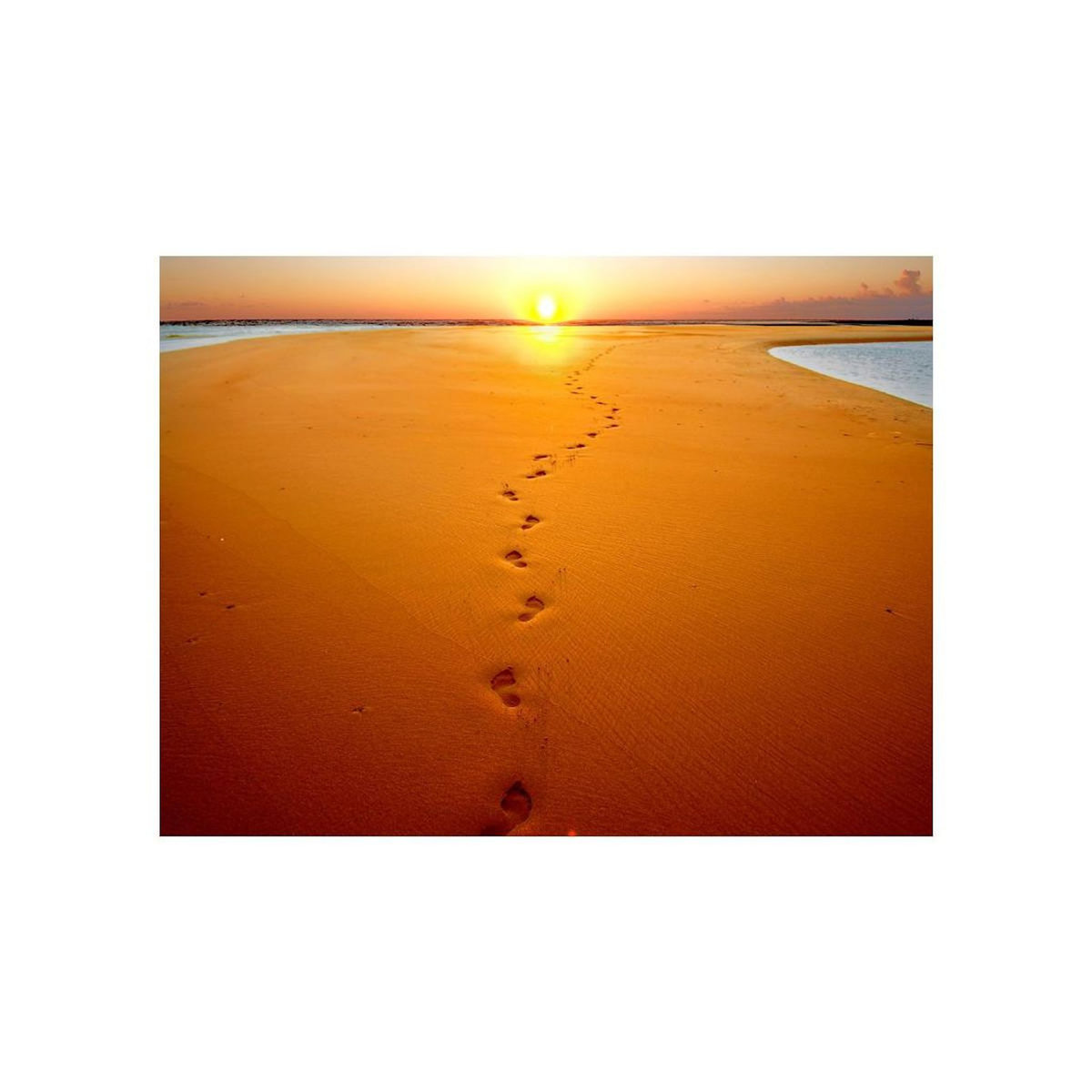 Paris Prix Papier Peint  Traces de Pas sur le Sable