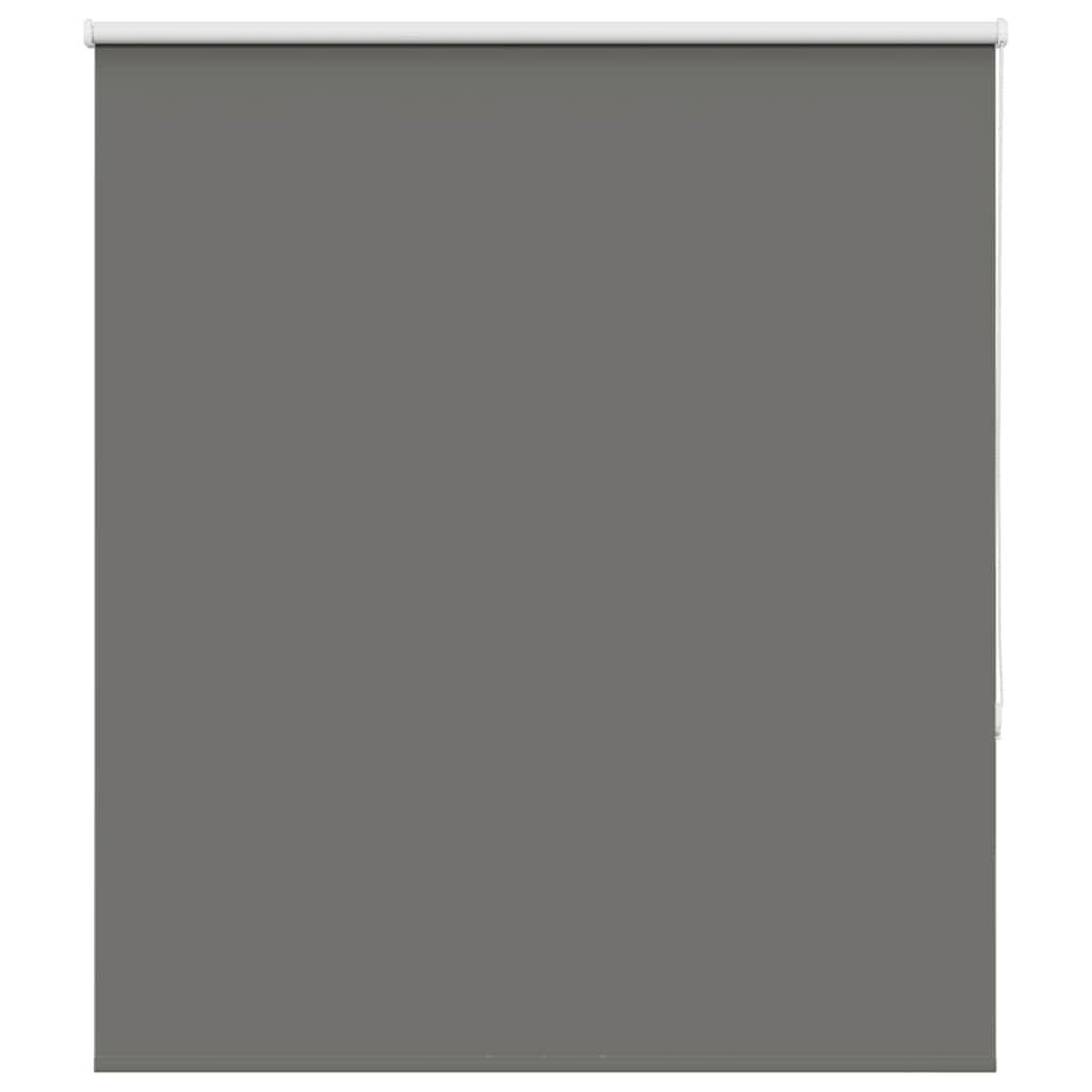 Voir la diapositive 2 : VIDAXL Store enrouleur occultant largeur du tissu 126,6 cm polyester