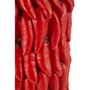 Voir la diapositive 5 : Paris Prix Vase Déco Piments  Chili  34cm Rouge