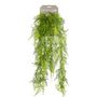 Voir la diapositive 2 : EMERALD Emerald Asperges Plumosus artificielle 80 cm