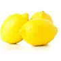 Citrons jaunes 500g
