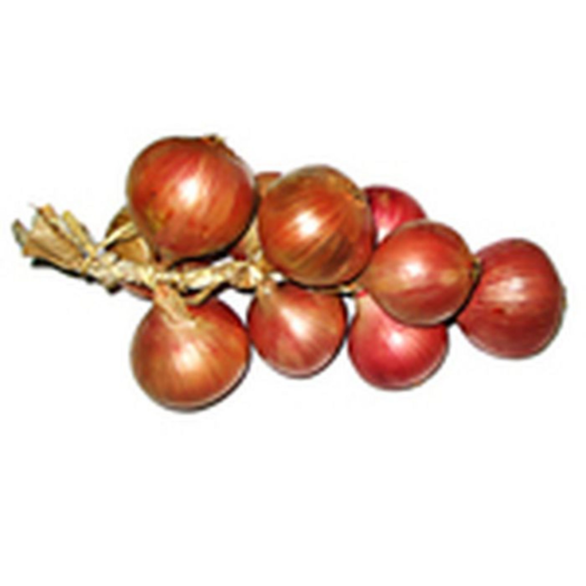 Oignons de Roscoff grappe 1kg