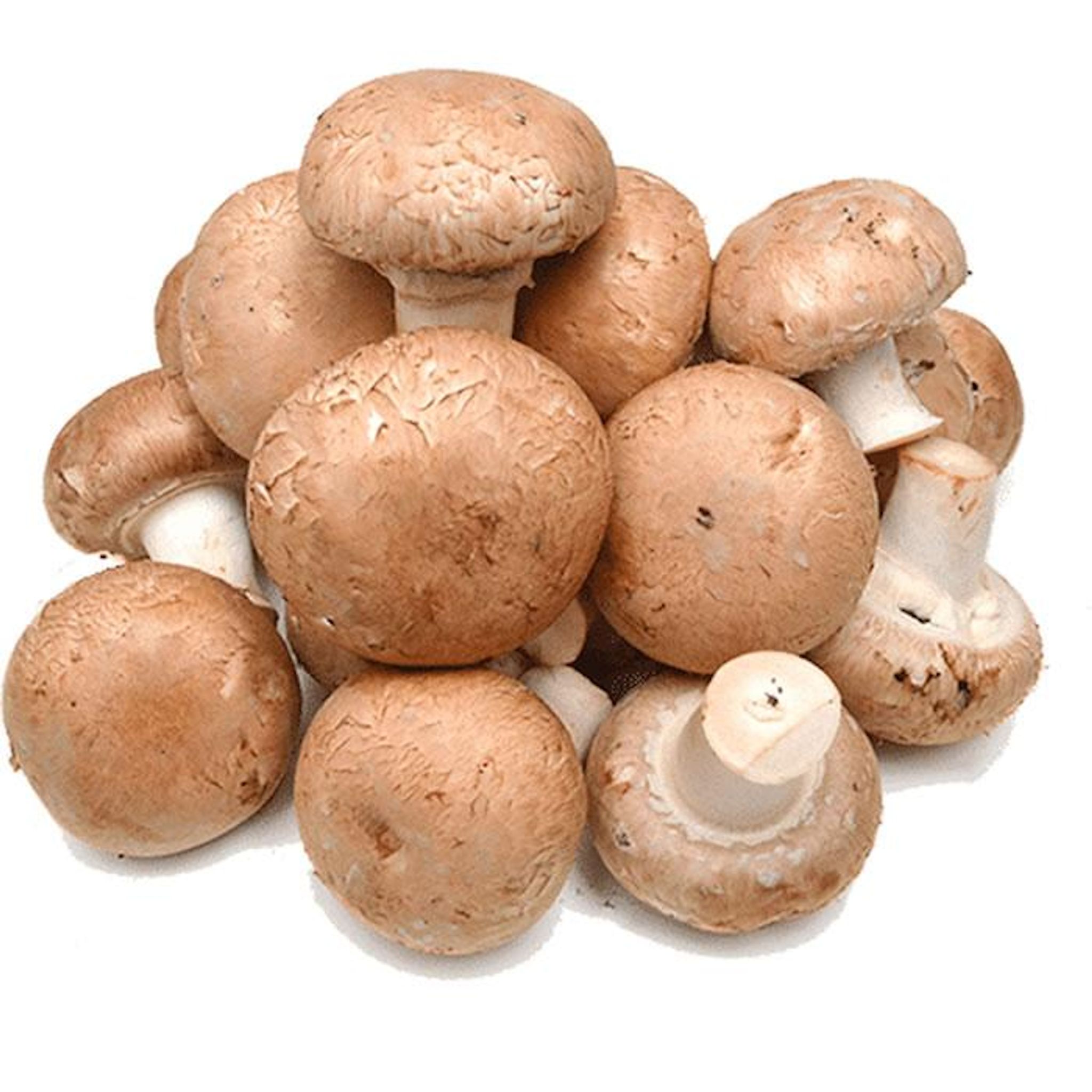 Champignons rosés pieds coupés 500g