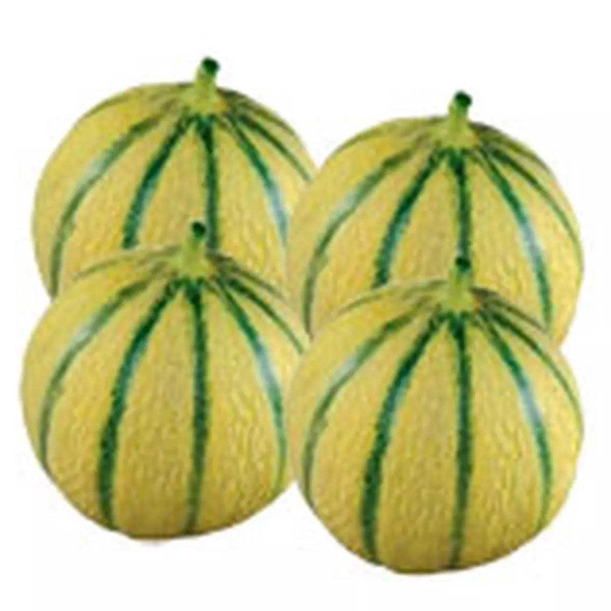 Melon charentais 2 kg
