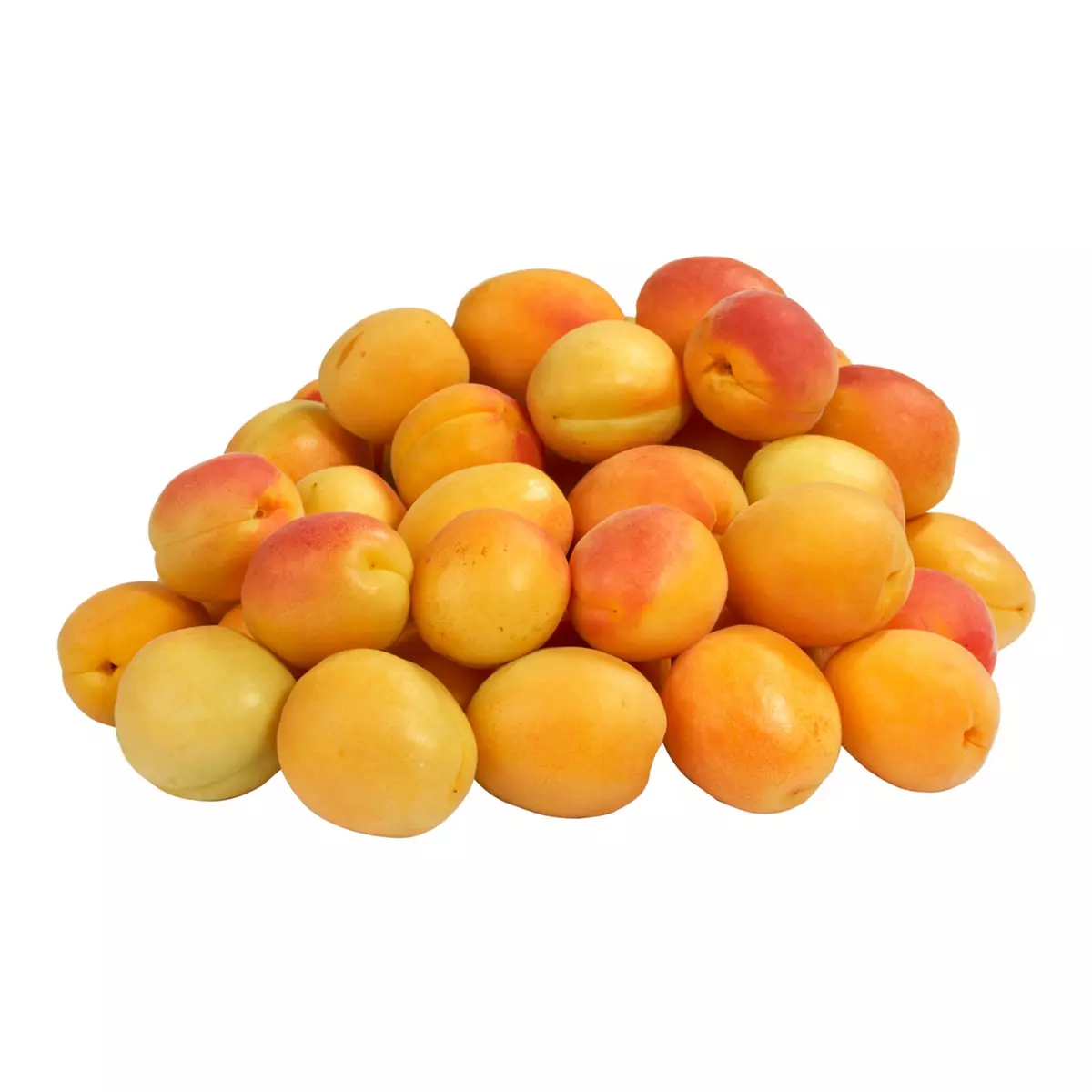 Abricots confiture 5kg