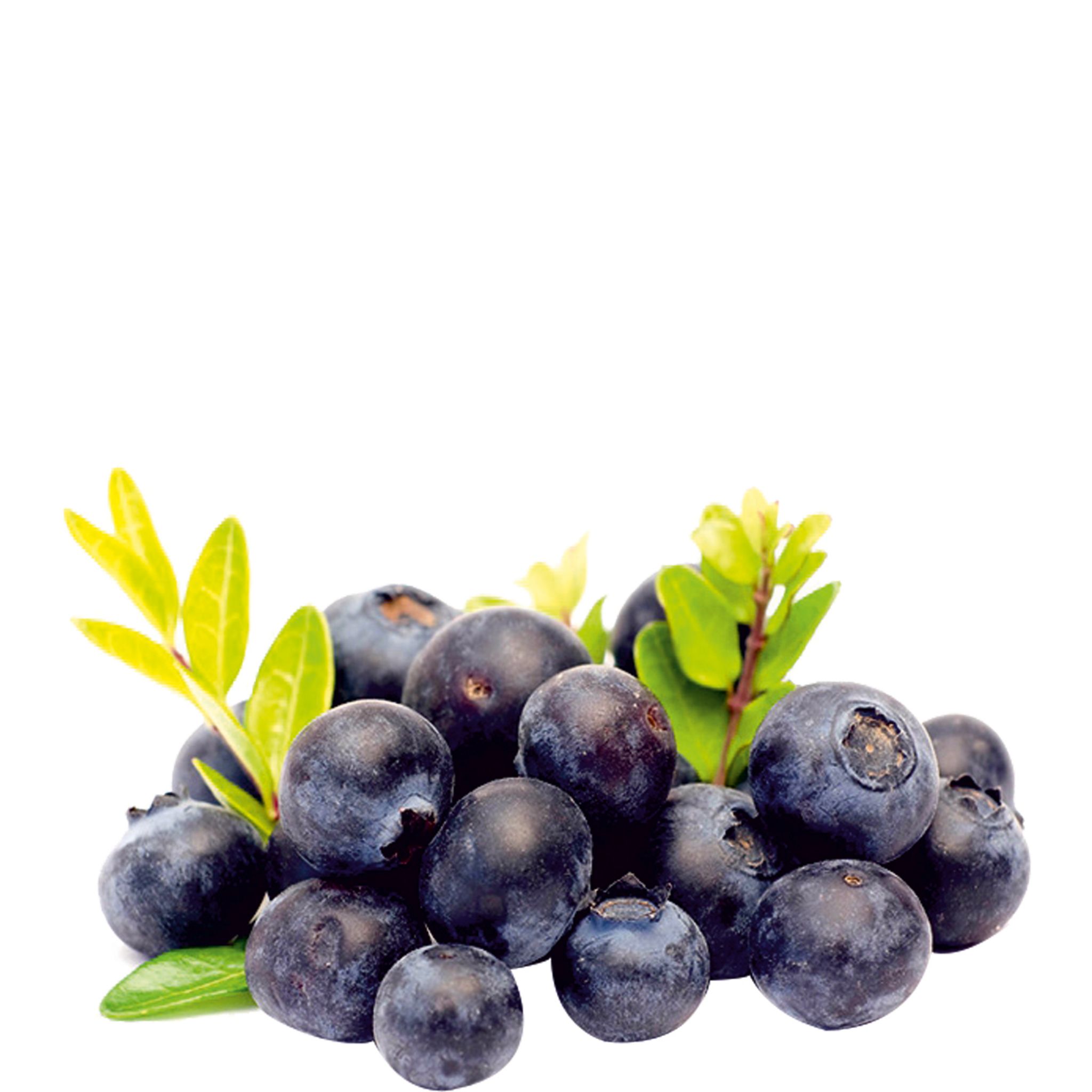 Barquette de myrtilles 250g