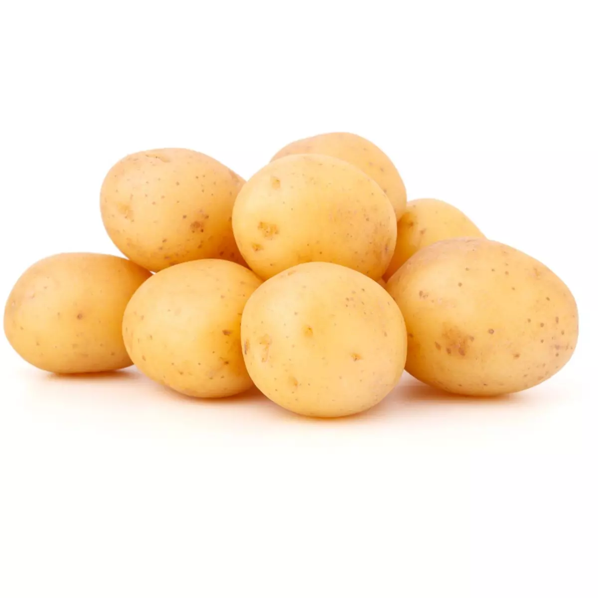 Pommes de terre brossées 10 kg