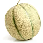 Melon bio 1 pièce