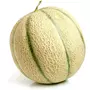 Melon charentais bio 1 pièce
