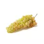 Raisins blancs Chasselas AOP 750g