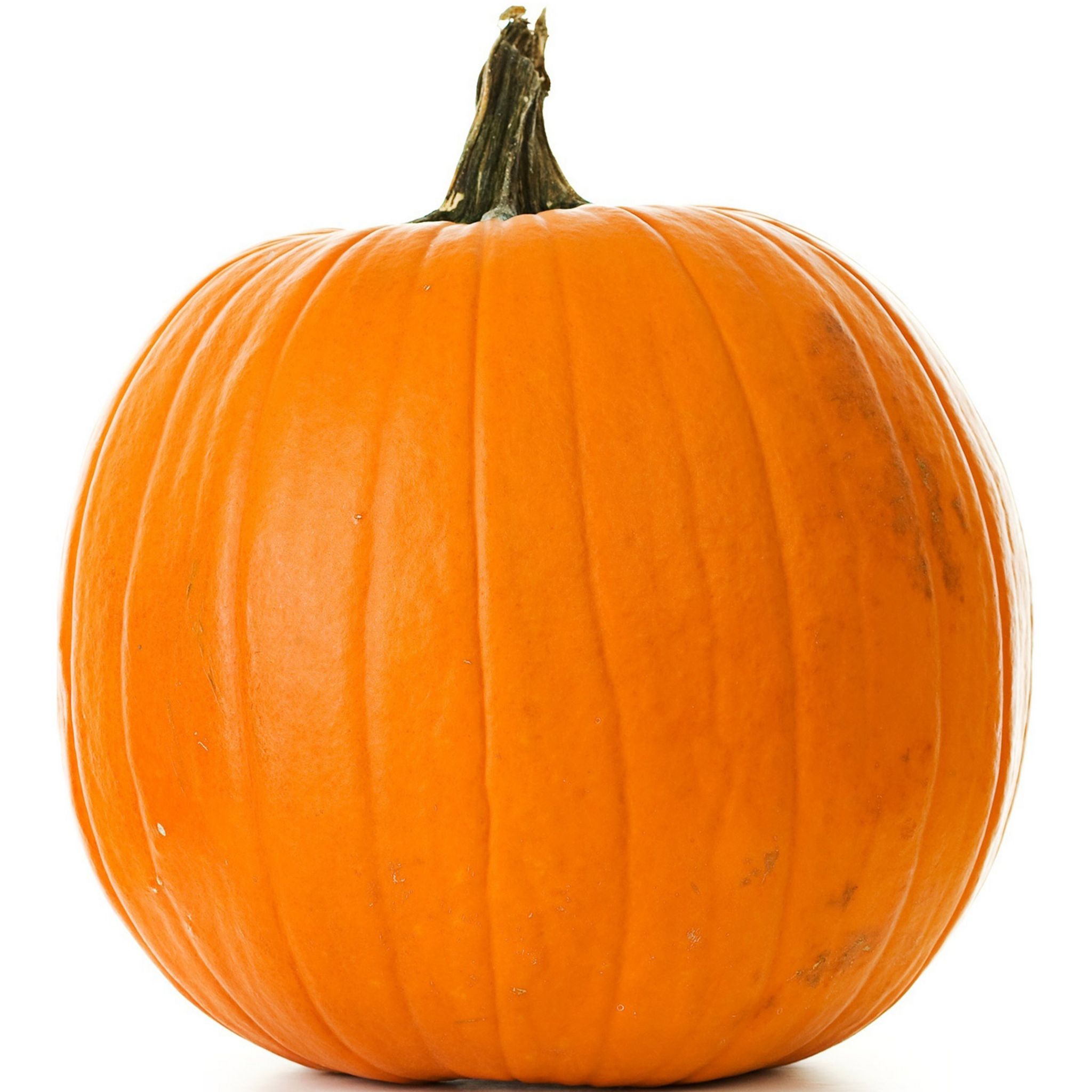 Citrouille à creuser pour Halloween 4,5kg 1 pièce