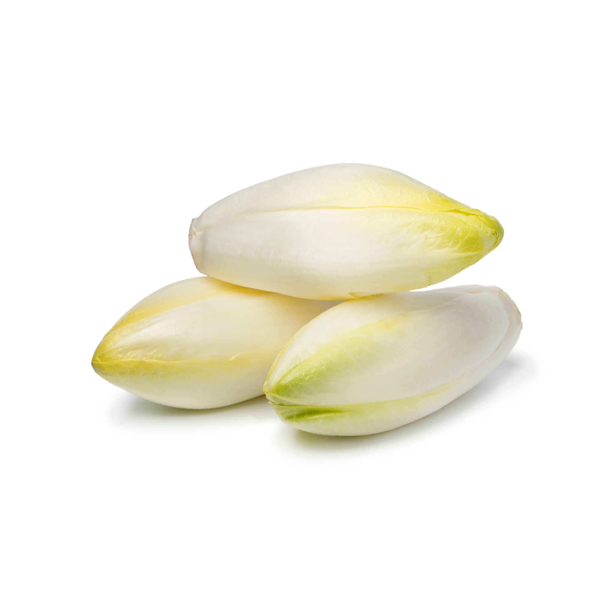 Endives de pleine terre 300g