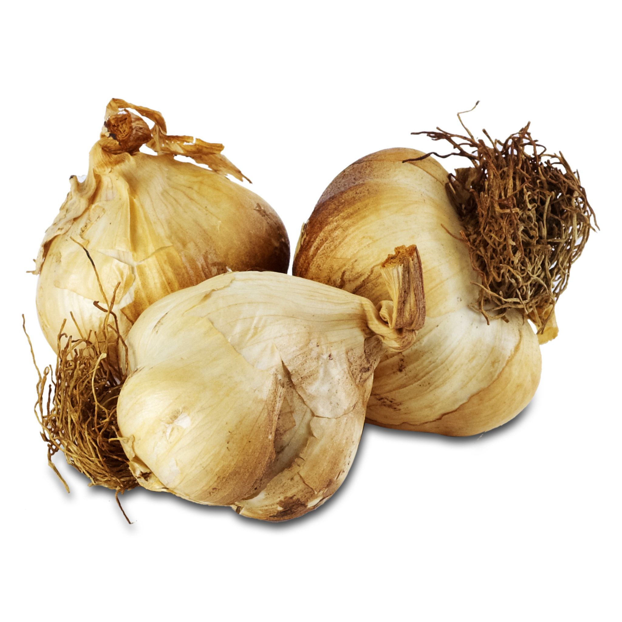 Ails fumés 3 têtes