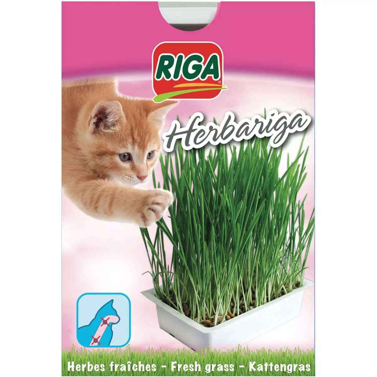 RIGA Herbariga herbes fraîches pour chat 1 pièce