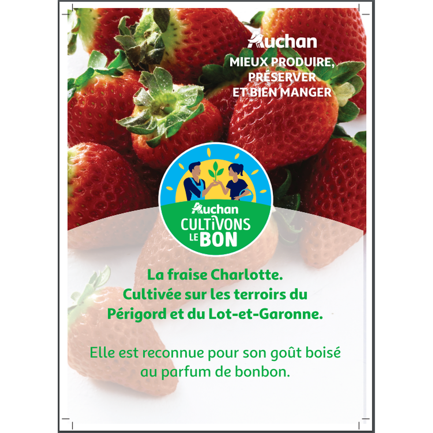 Voir la diapositive 2 : CULTIVONS LE BON Fraises Charlotte  400g
