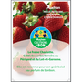 Voir la diapositive 2 : CULTIVONS LE BON Fraises Charlotte  400g
