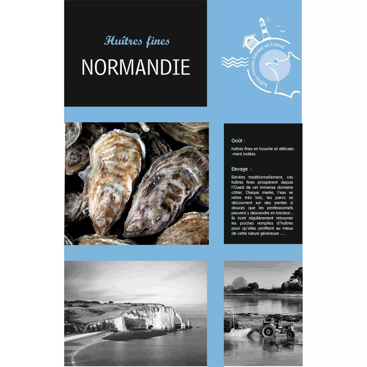 Huîtres Normandie fine n°4 3 douzaines 2kg