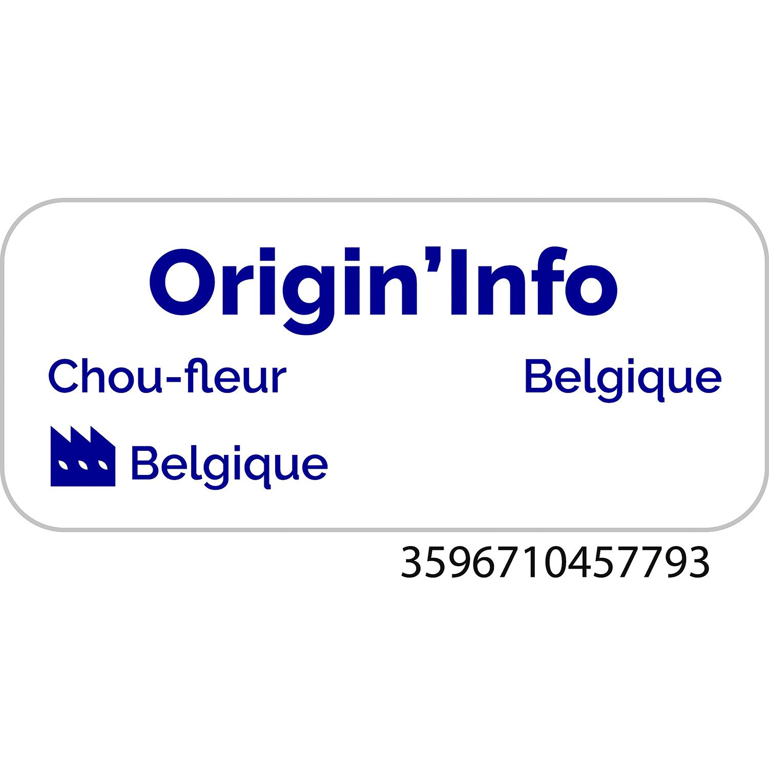 Voir la diapositive 3 : POUCE Choux-fleurs en fleurettes 5 portions 1kg