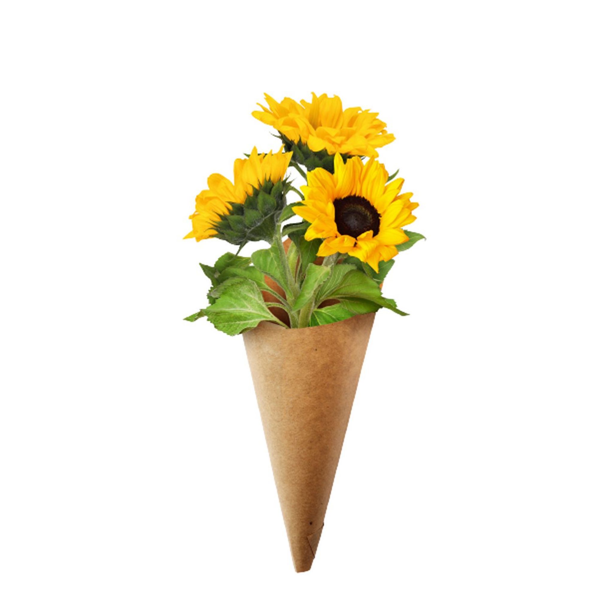 FLEURS bouquet de 3 tournesols 1 bouquet