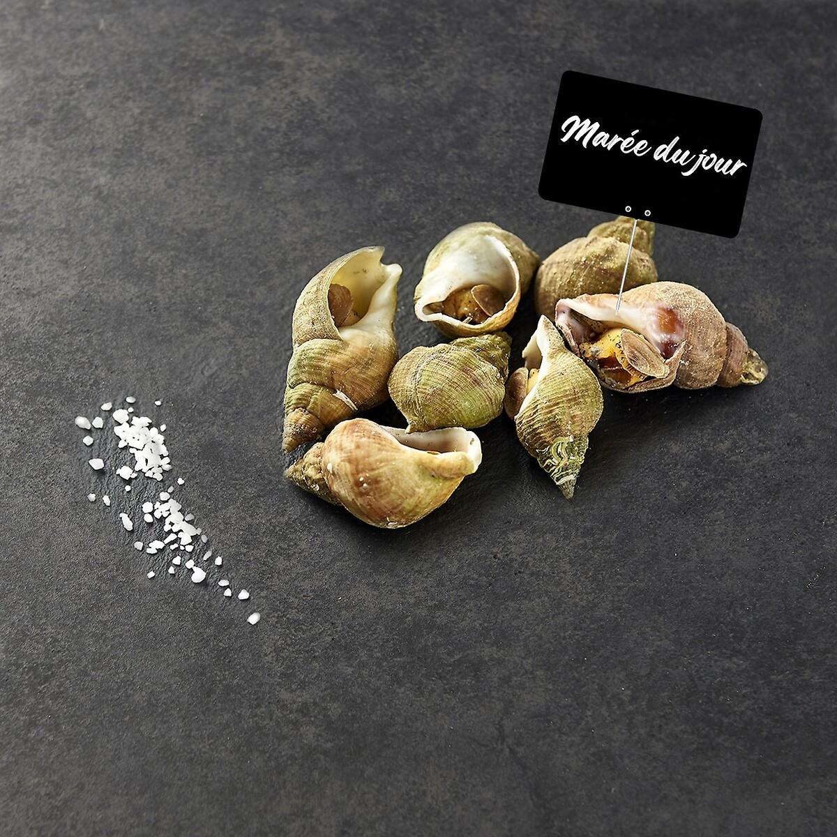 MON POISSONNIER Bulots cuits 170 g à 230 g