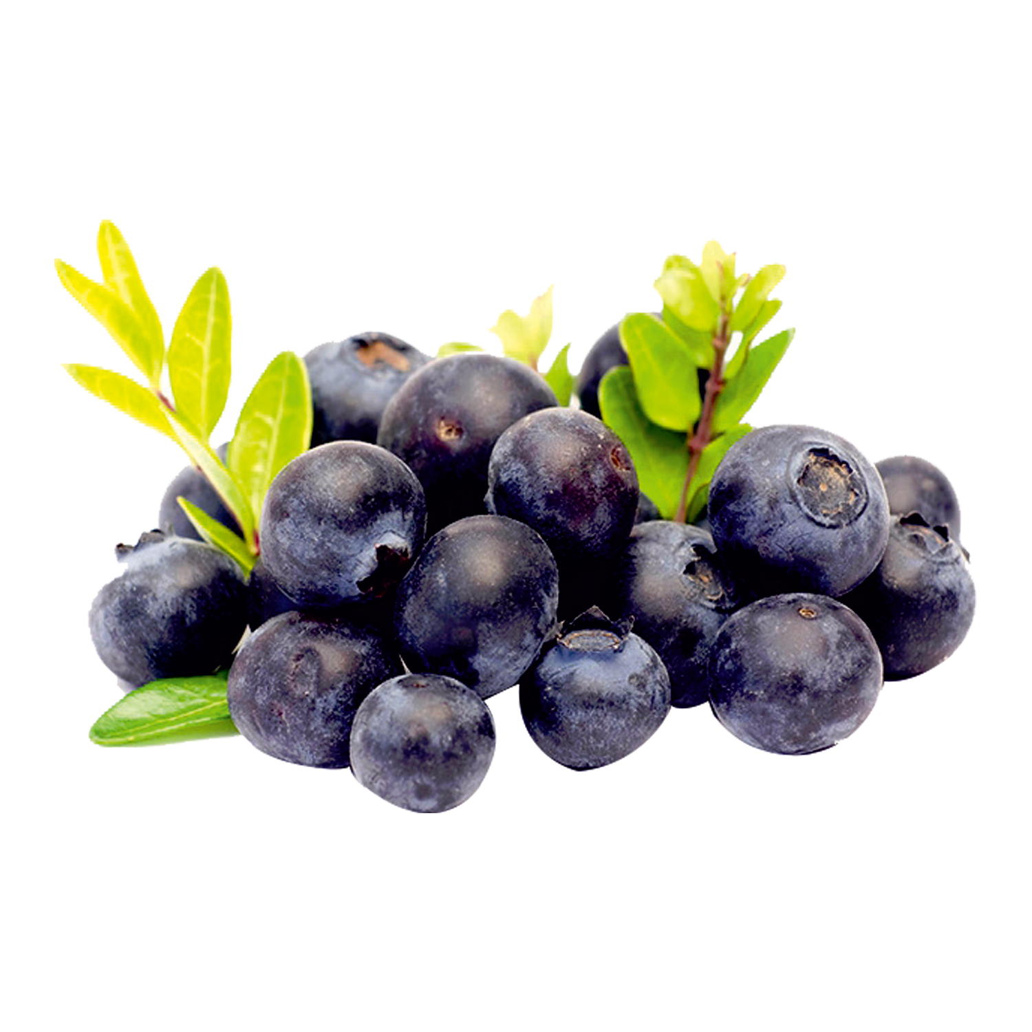 Myrtille 1kg
