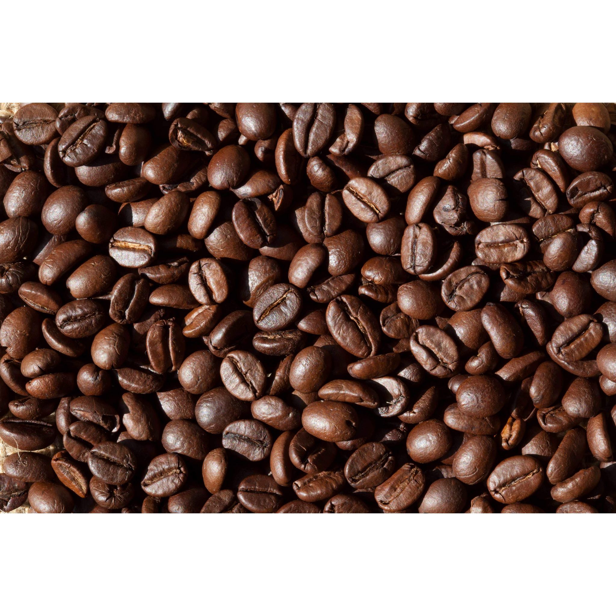 LEGAL Café en grains 100% robusta en vrac 5kg