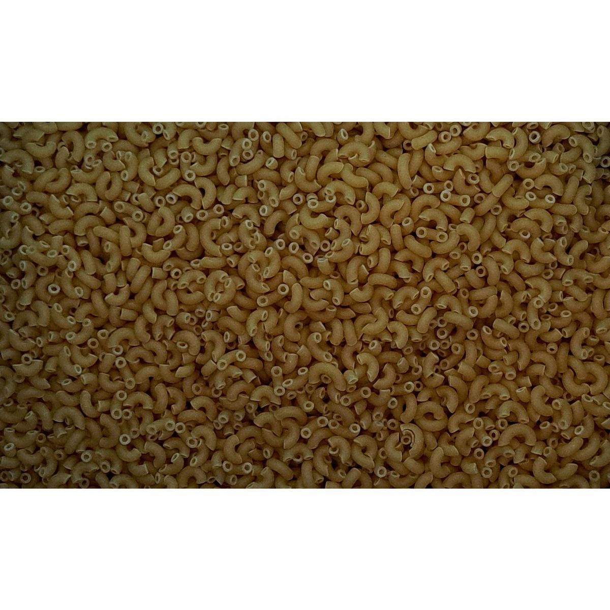 Coquillettes en vrac 1kg