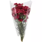 FLEURS Bouquet de 9 mini œillets rouges 1 bouquet
