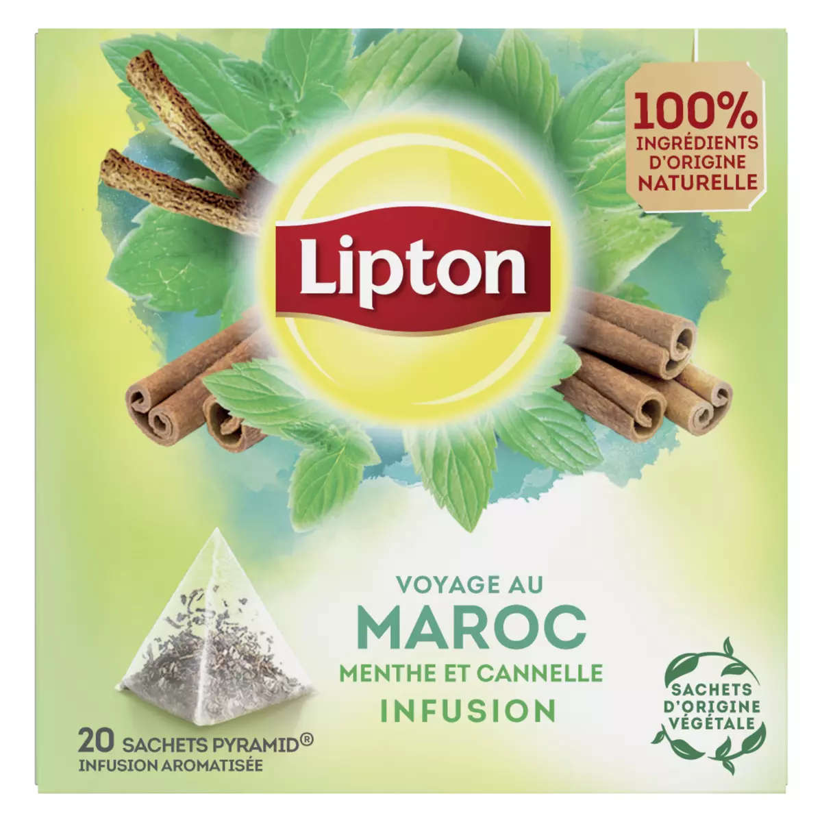 LIPTON Infusion Maroc menthe et cannelle  20 sachets 40g